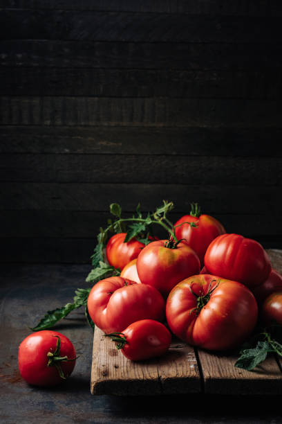 istock Freshly picked ripe red organic tomatoes. 1433639764