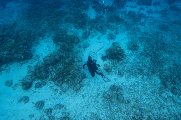 Free diver, undersea cinematographer filming in coral reef of Caribbean Sea around Curacao stock photo