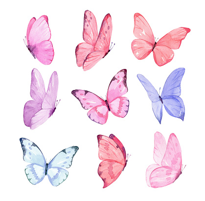 Set of butterflies isolated on white background. Watercolor. Illustration. Template, blue, yellow, pink and red butterfly spring illustration