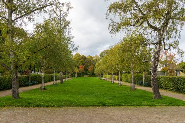istock Fritz-Encke-Volkspark, Cologne 1433642180