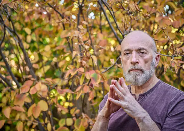 portrait of bald, bearded, confident senior man (in late 60s) against fall colors foliage