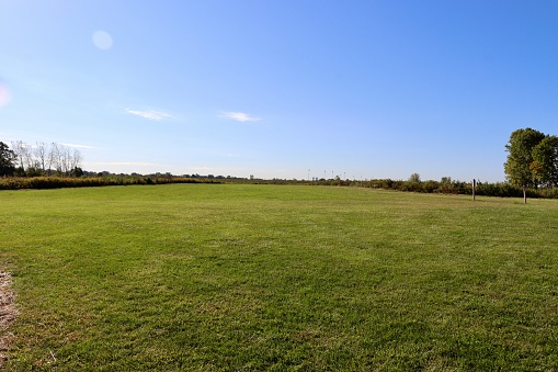 Green Grass Country Field