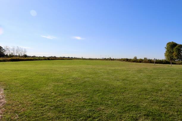 green grass country field - national grassland imagens e fotografias de stock