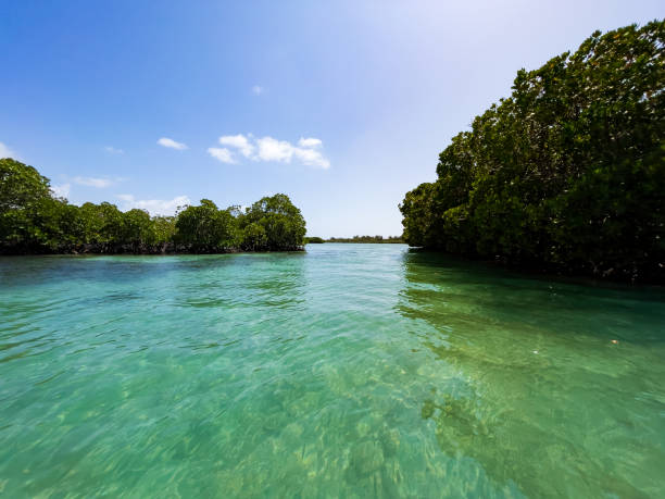 istock Turquoise water of Ile aux Cerfs, Mauritius 1433647590