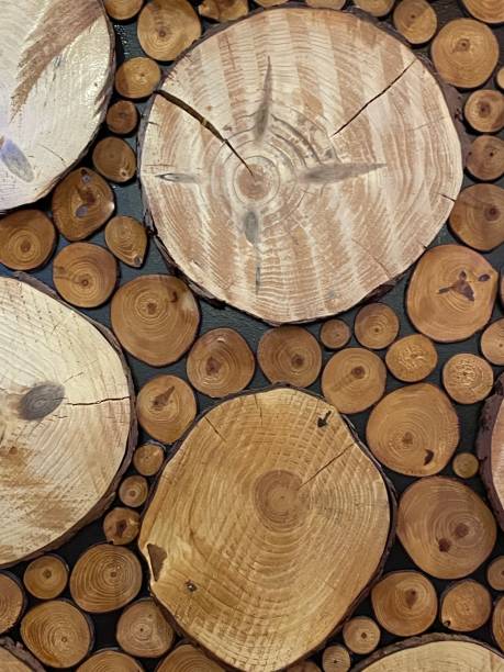 istock Cross Section of Wooden Logs 1433649730