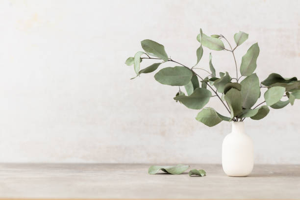istock Green eucalyptus leaves in vase. Front view. Place for text, copy space, mockup. 1433650981