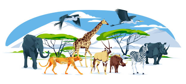 istock Wild African animals set walks on the savannah landscape: elephant, giraffe, cheetah, Oryx antelope, zebra, ostrich, hippopotamus, hyena, warthog, heron. Vector flat illustration. 1433651500