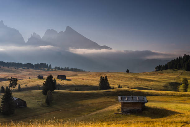 istock Sunrise on mountain meadow in Dolomites 1433653927