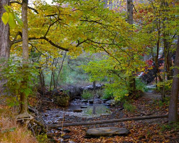 istock Colors Of Fall 1433655299