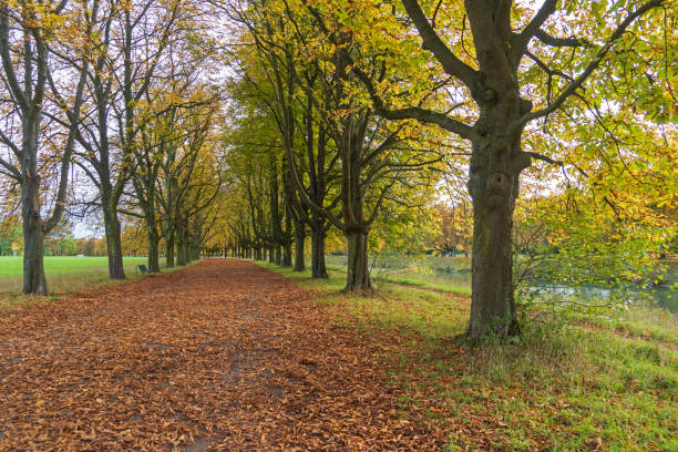 istock Autumn Landscape at Decksteiner Weiher, Cologne 1433656620