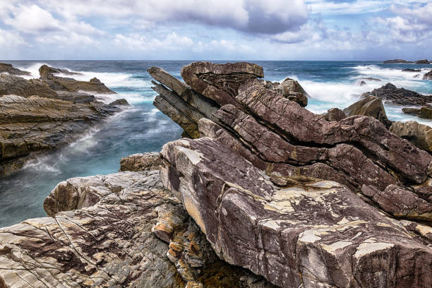 The Phoenix Fold These sandstones and the mudstones coastal rock fold were formed by the plate subduction. phoenix stone stock pictures, royalty-free photos & images