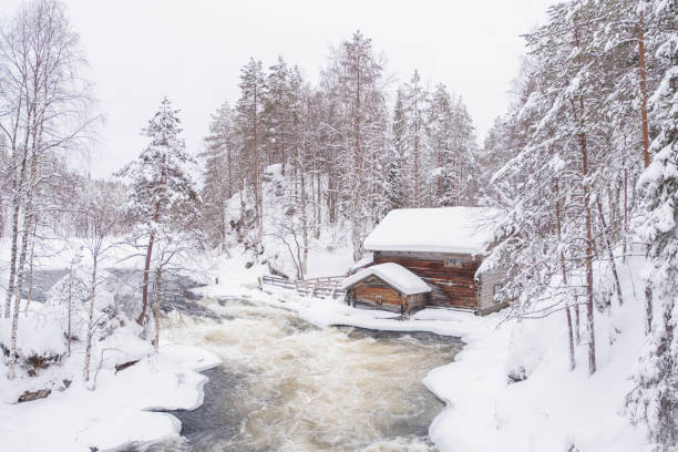 casa rural de madera a orillas de un río tormentoso en un bosque de pinos de invierno en laponia. - cabin snow finland lapland fotografías e imágenes de stock