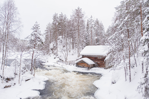 Nature of northern europe lapland in winter.
