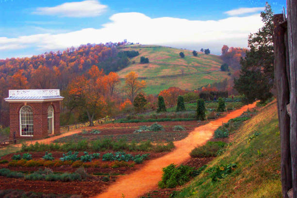 A wide view of a Virginia's vineyard in winter