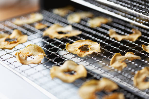 Dried apple slices on tray of a home electric dehydrator
