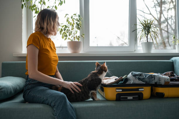 istock Young woman sitting on sofa packing the baggage. Petting tabby cat. 1433665886