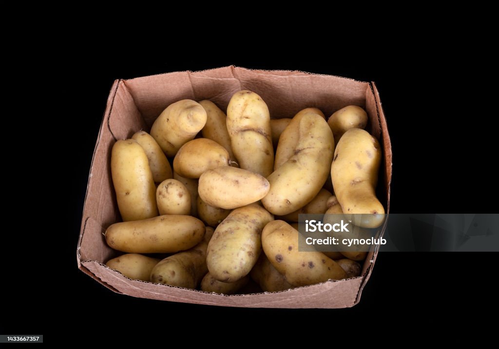 Ratte Potato In Studio Stock Photo - Download Image Now - Black Color ...