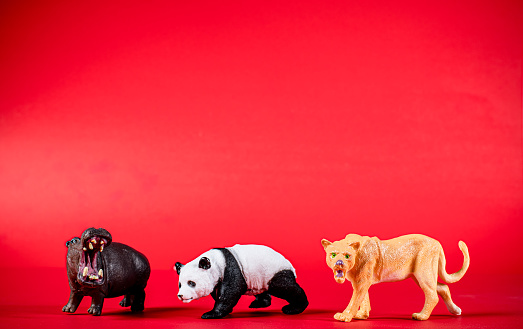 Various animal toys isolated and on a red background