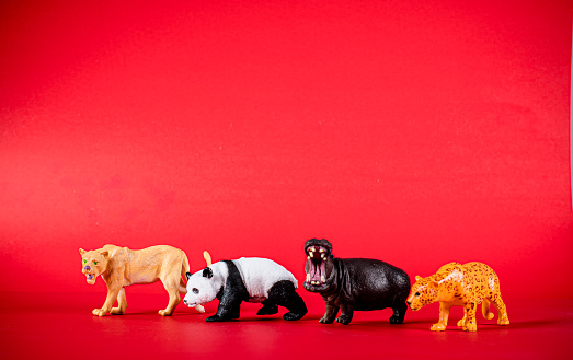 Various animal toys isolated and on a red background