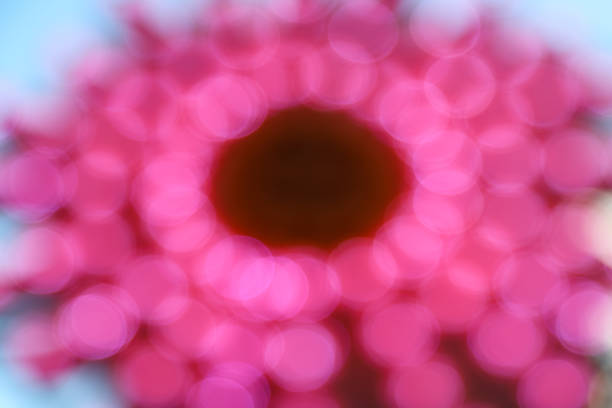 Soft blurred bokeh background with lotus flower pastel color