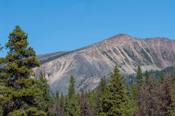 istock canadian rocky mountains 1433668978