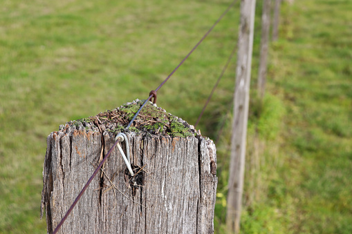 old wooden fence in field in selective focus