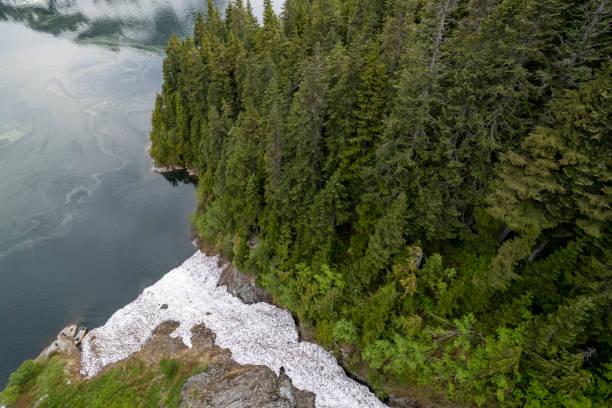 istock Coastal forest and a mountain lake 1433671499
