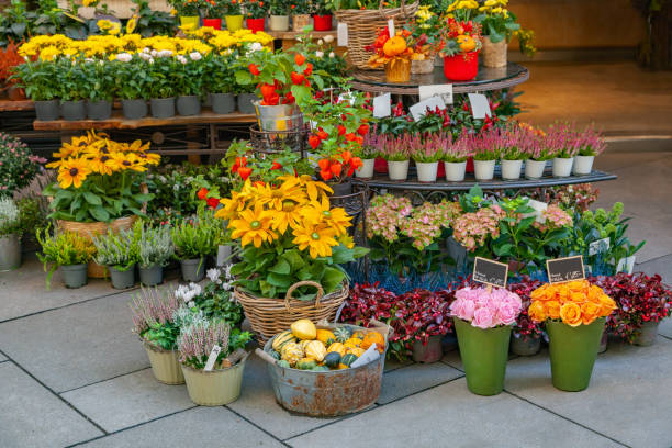 istock Street flower shop 1433672918