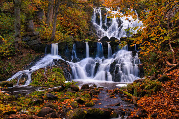 istock Beautiful waterfall in autumn forest in Jonkoping, Sweden. 1433673919