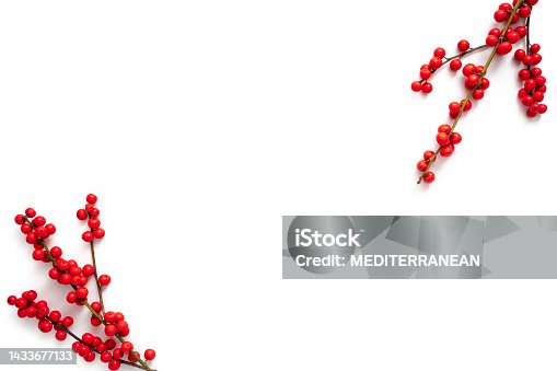 istock Christmas Red holly berries real natural isolated on white leaving a white copy space 1433677133