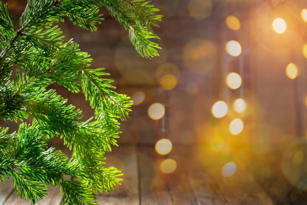 istock Christmas fir tree background copy space with glowing Christmas 1433677482