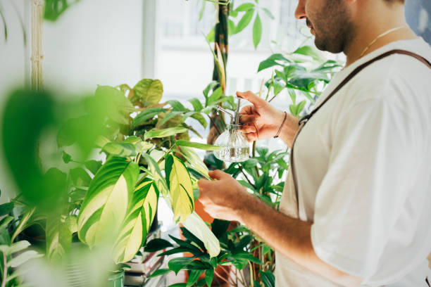 istock Florist watering the plants 1433678387