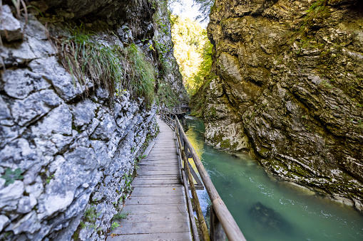 Popular tourist destination of Vintgar Gorge with its emerald green water flowing through the canyon.