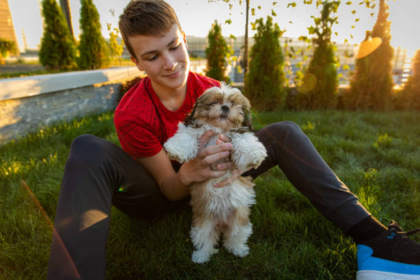 teenage boy playing with a Shih tzu puppy outdoors