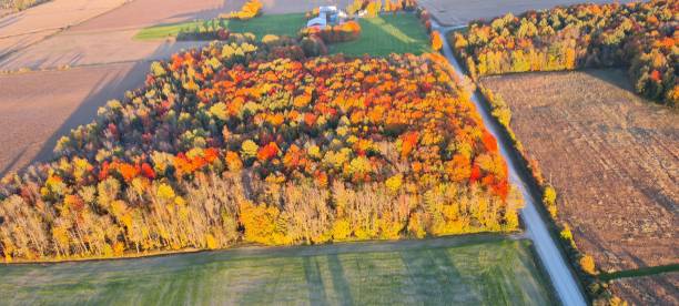 istock Autumn leaves from the air in Canada 1433682591