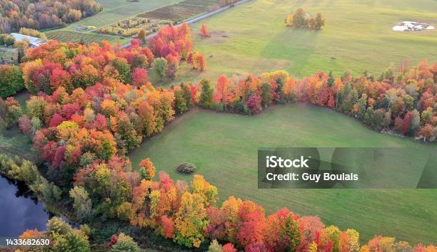 Autumn Leaves From The Air In Canada Stock Photo - Download Image Now - Aerial View, Autumn, Autumn Leaf Color