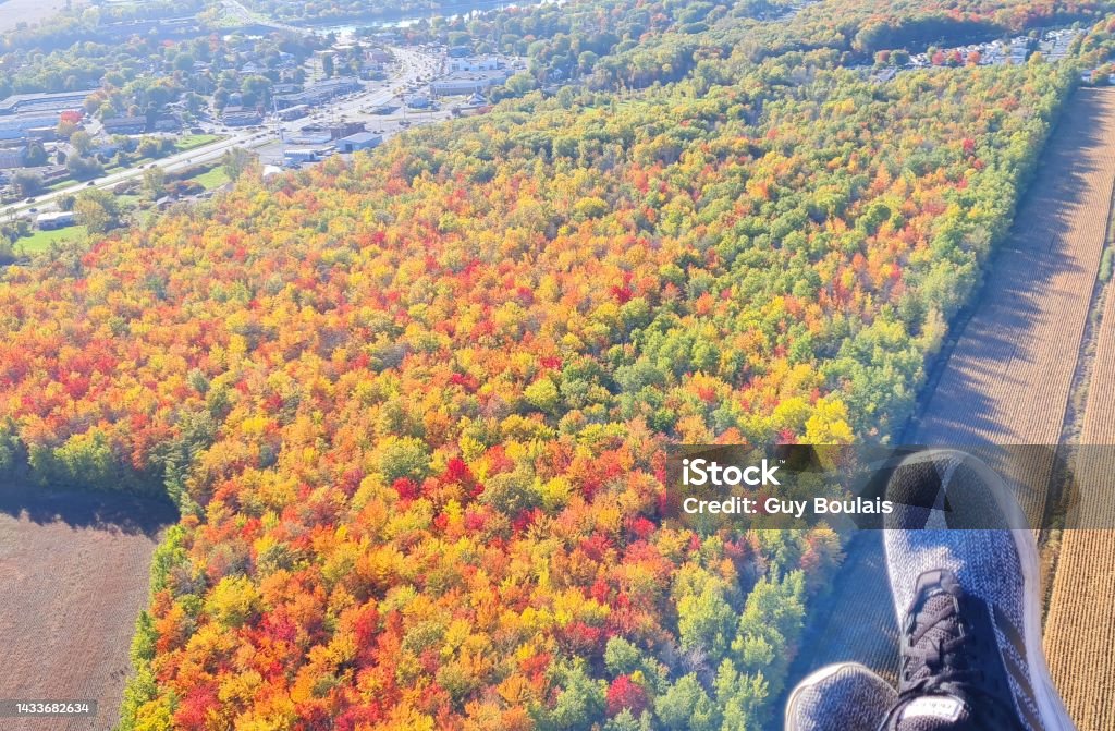 Autumn leaves from the air in Canada Aerial View Stock Photo