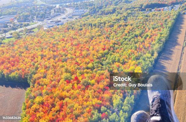 Autumn Leaves From The Air In Canada Stock Photo - Download Image Now - Aerial View, Autumn, Autumn Leaf Color
