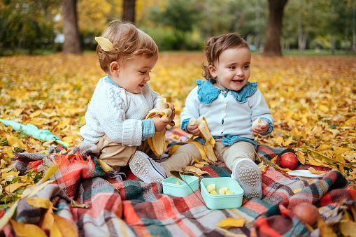 Cute identical twin babies sit on the blanket surrounded by yellow leaves