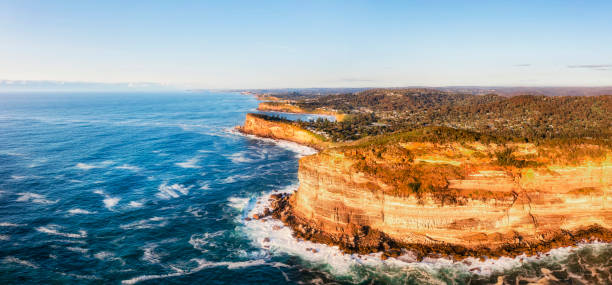D Whale beach careel head pan