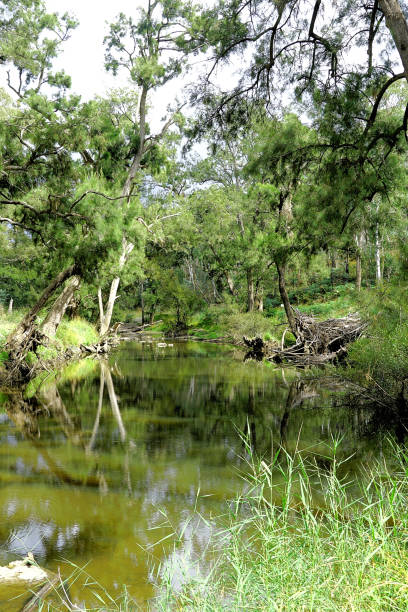istock Orange,  New South Wales, Australia 1433688263