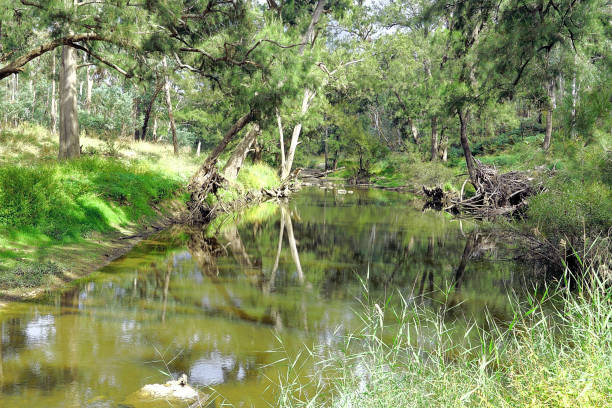 istock Orange,  New South Wales, Australia 1433688340