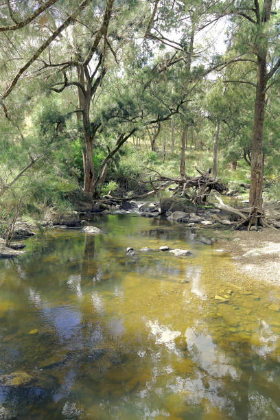 istock Orange,  New South Wales, Australia 1433688402