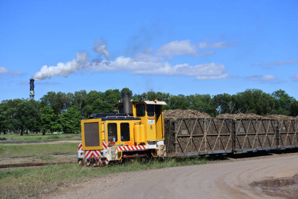 train rail transport