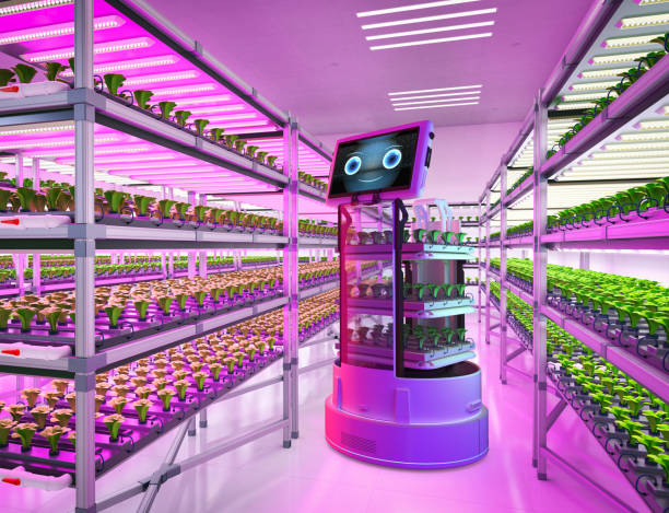 istock Robot assistant in light growth indoor farm 1433695791