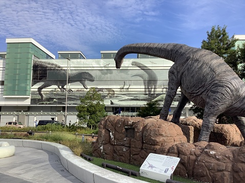 Park attraction place. A dinosaur head in the move. The figure of Stone age monster in close-up on the blue sky background. Nobody.