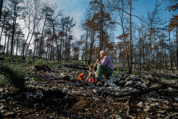 istock Forester taking a break after checking the environmental damage after a forest fire 1433701483