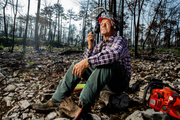 istock Forester taking a break to report the environmental damage by forest fire via Radio connection 1433701491