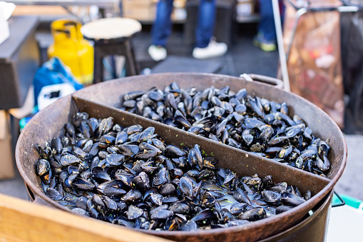 City street food festival brings locals and tourists downtown to try the delicious food and drink including tasty mussels.