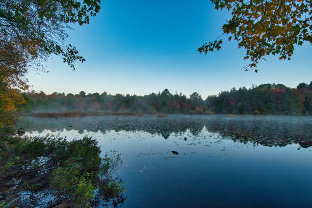 istock Cranberry Bog County Park Scenic #5 1433708191